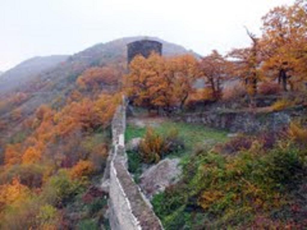 Steeger Tal Bacharach Bagian luar foto