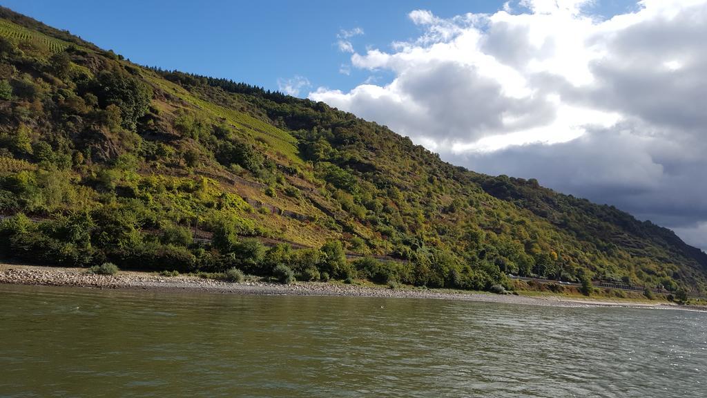 Steeger Tal Bacharach Bagian luar foto